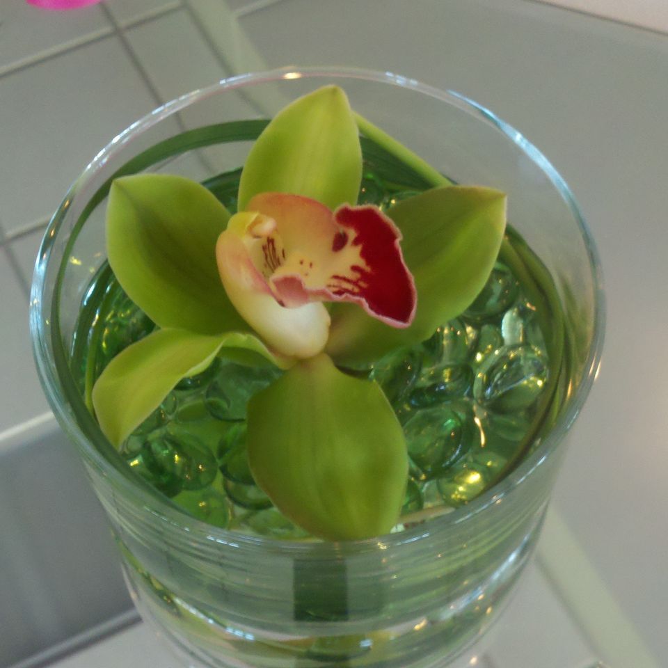 Wed decor 17320180617 5729 1gwhdpl