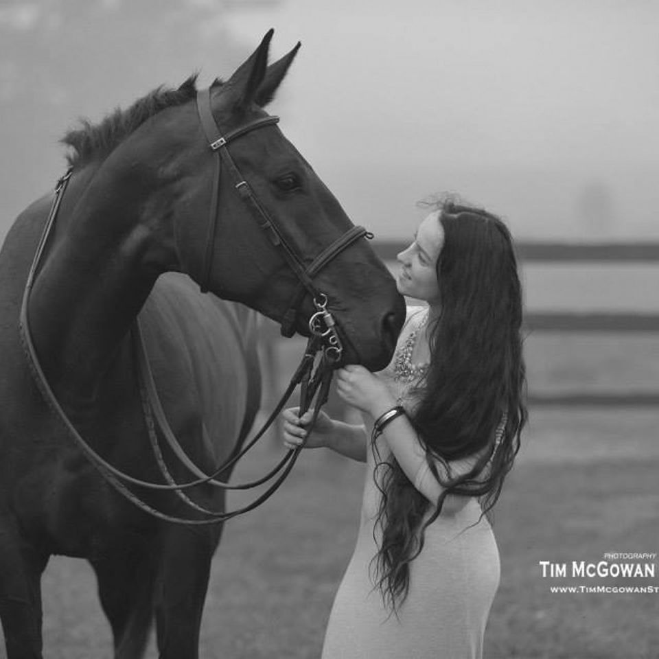 Horse20141021 6842 1xfnae1