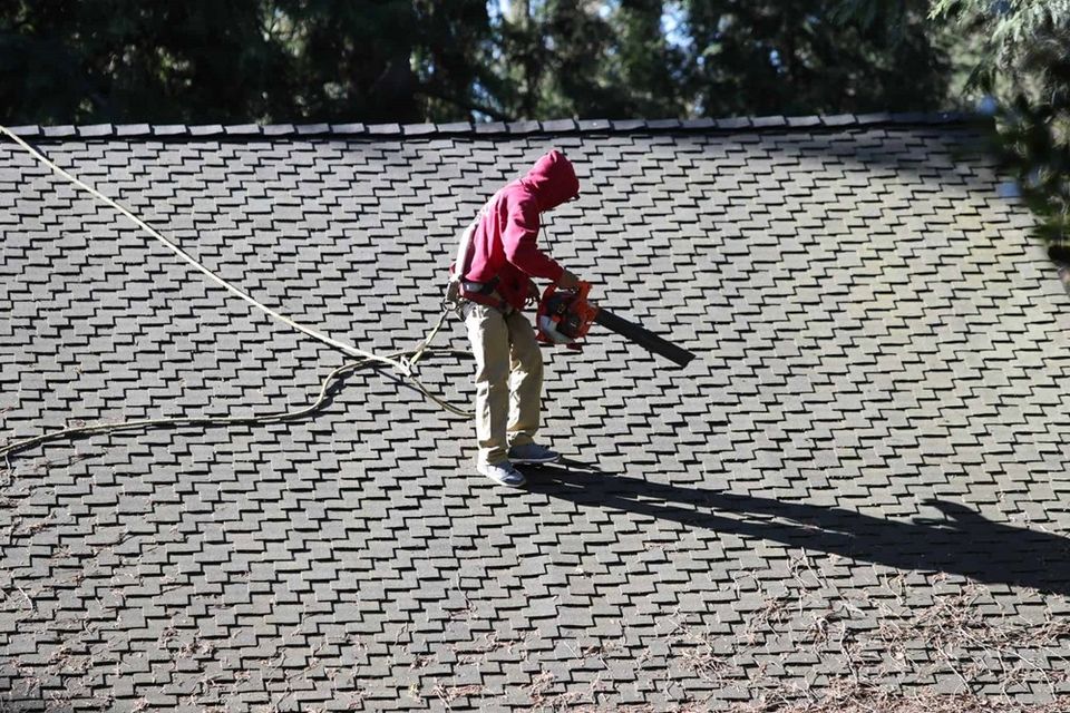 Roofcleaning