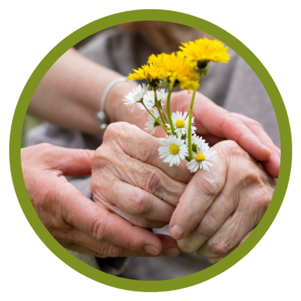 Salus home care website image (500 x 500 px)