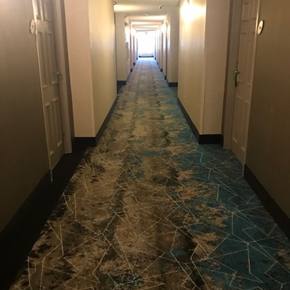 Img 2345
