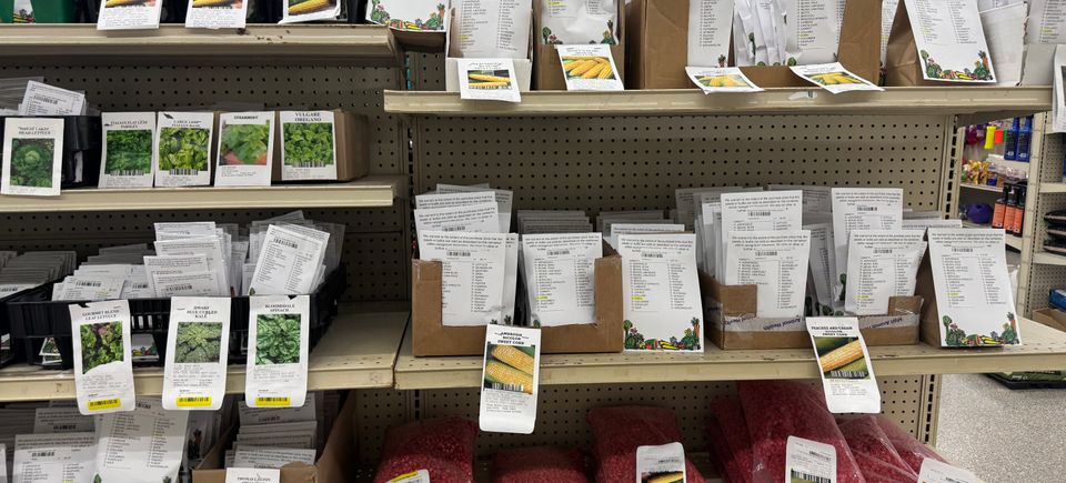 (upload from mobile 1771869603)img 5389