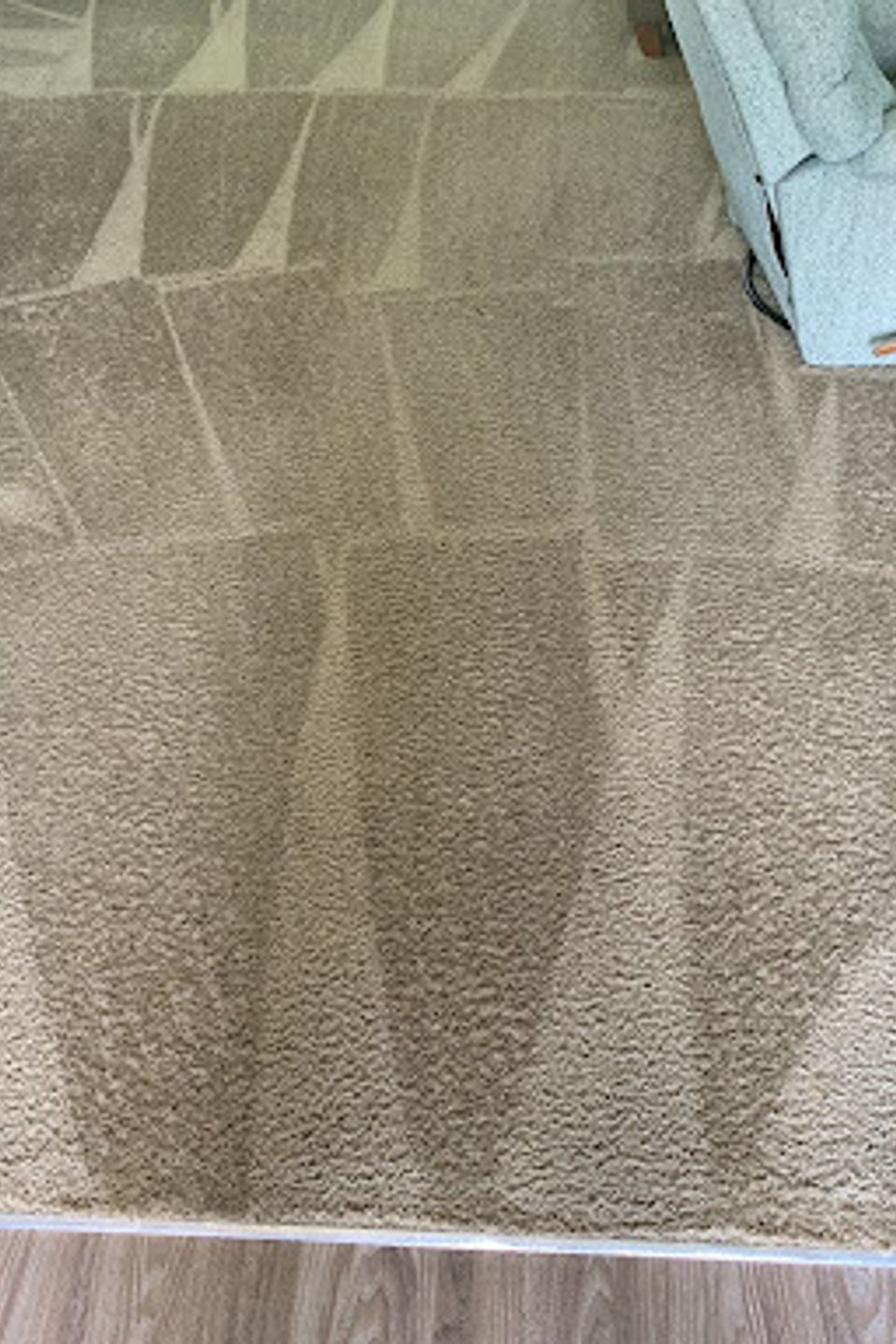 Carpet17