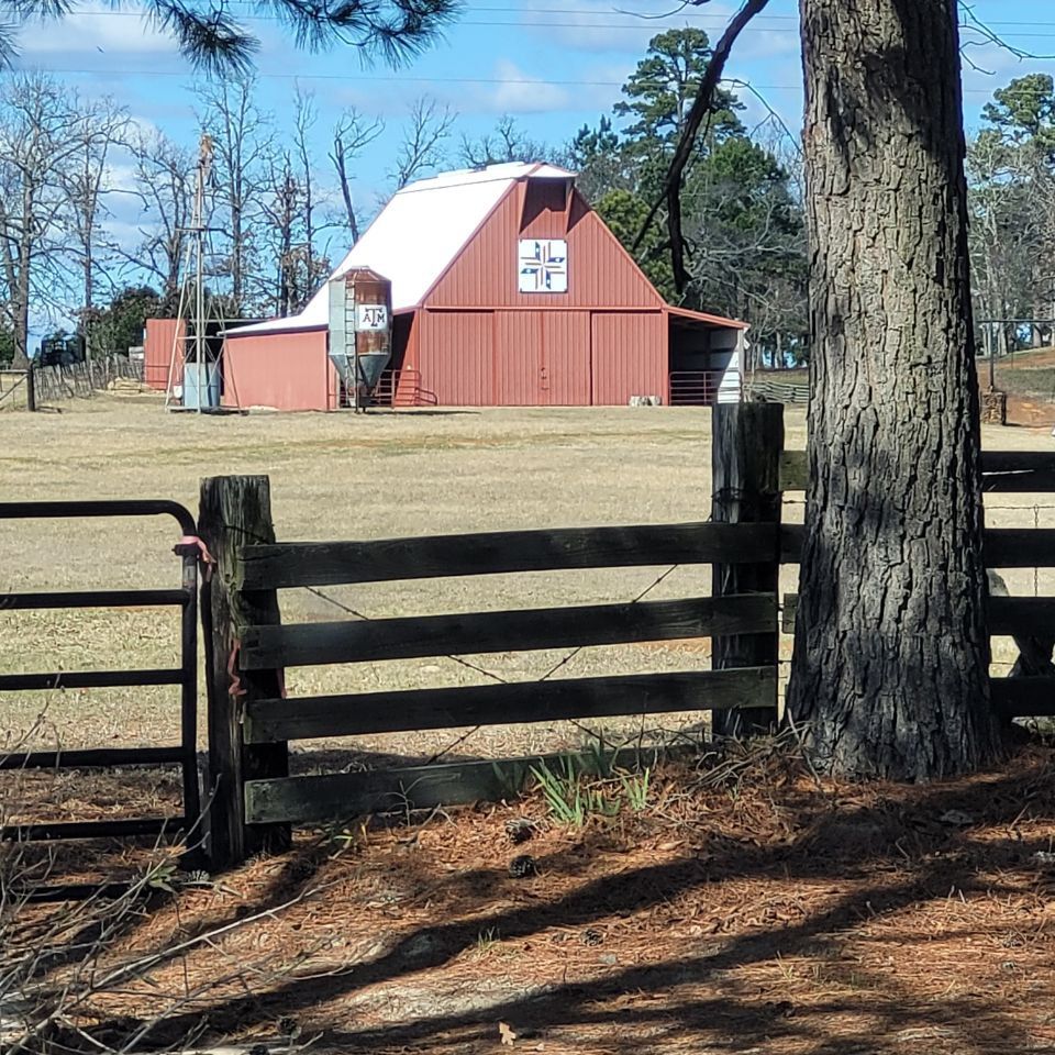 Photo 2026 01 14 15 24 03