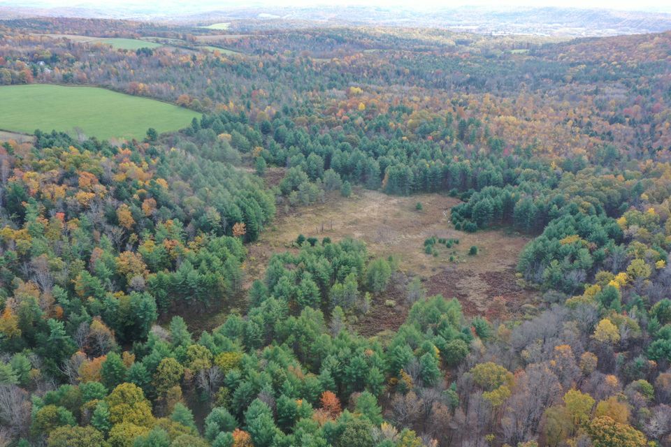2023 arial drone looking south forest and valley