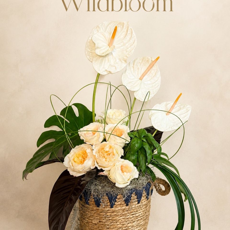 Ecobloom 150 