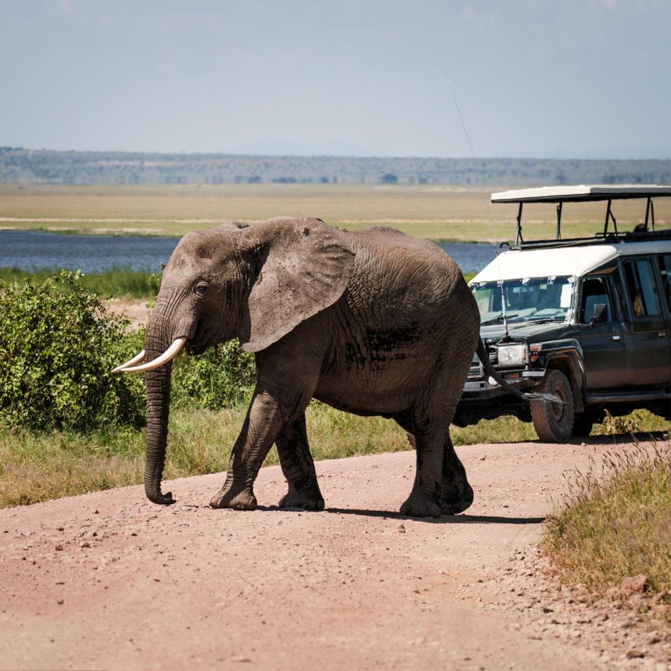 4x4 serengeti