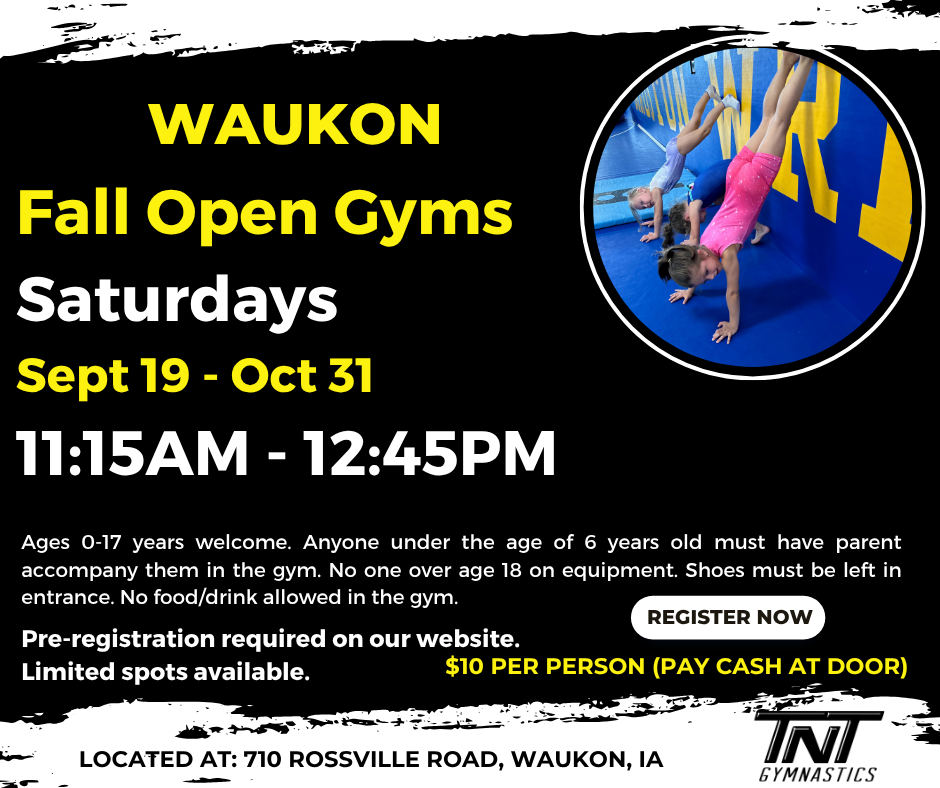 Waukon open gym (3)