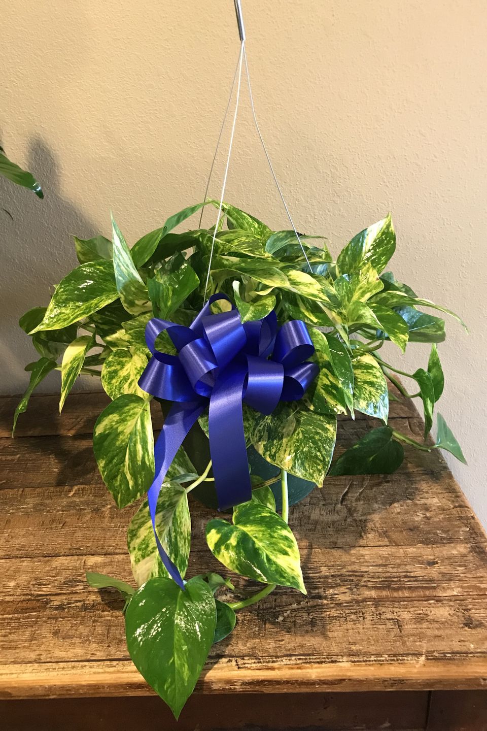 Img 231320180226 23643 18eudjy