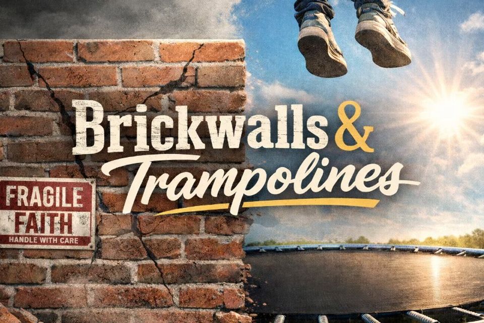 Brickwalls trampolines