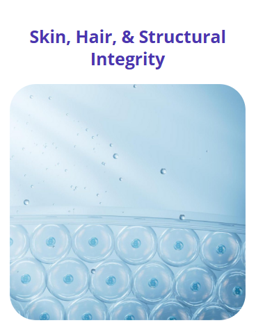 Screenshot 2026 02 22 174121