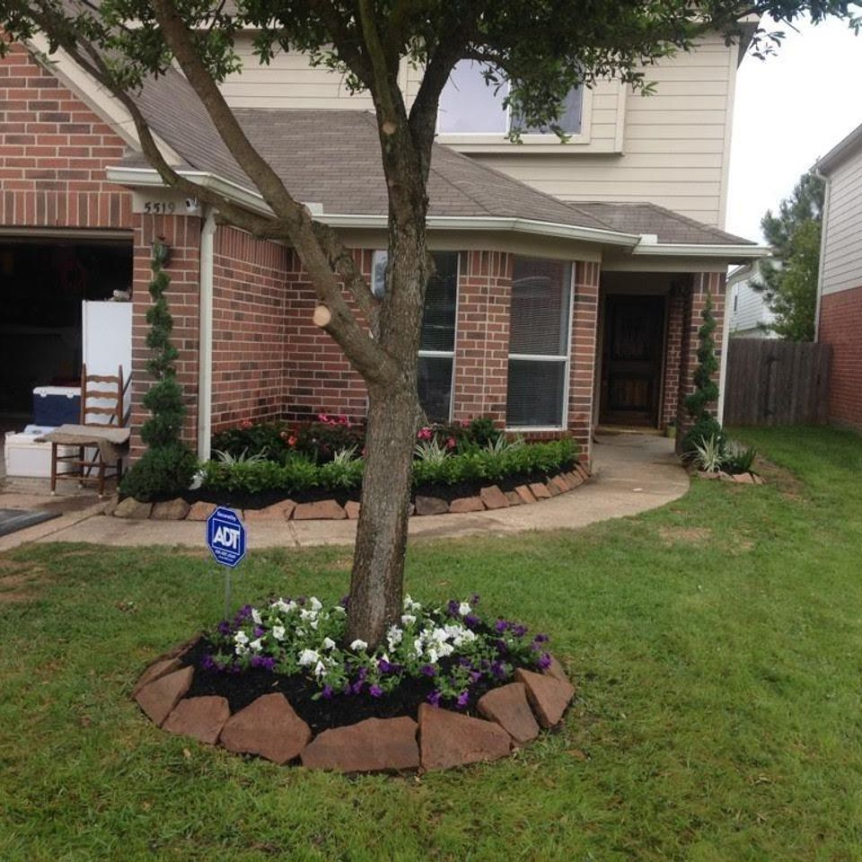 Edf front yard with tree20180330 25376 teatlj