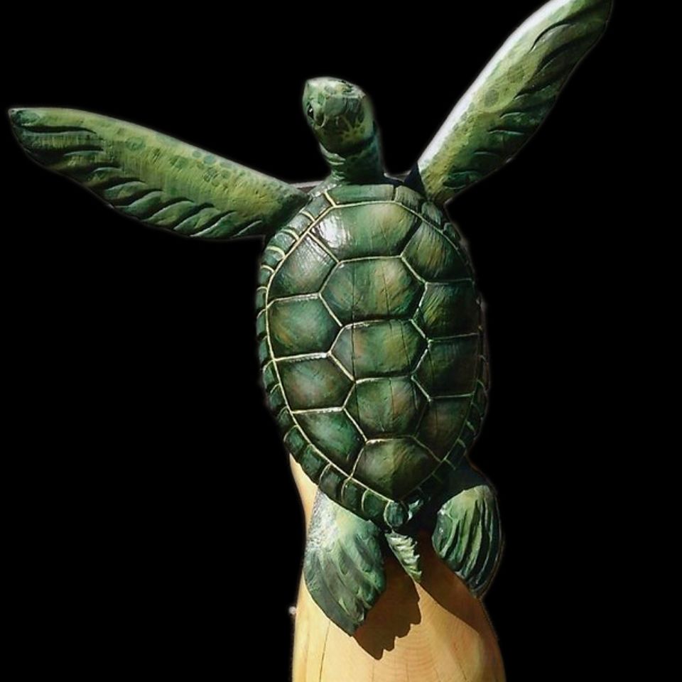 Turtle