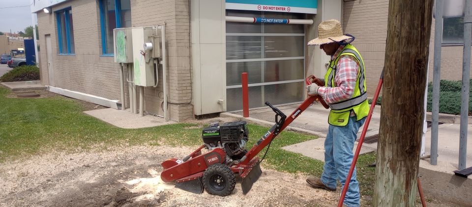 Stump grinding. (1)