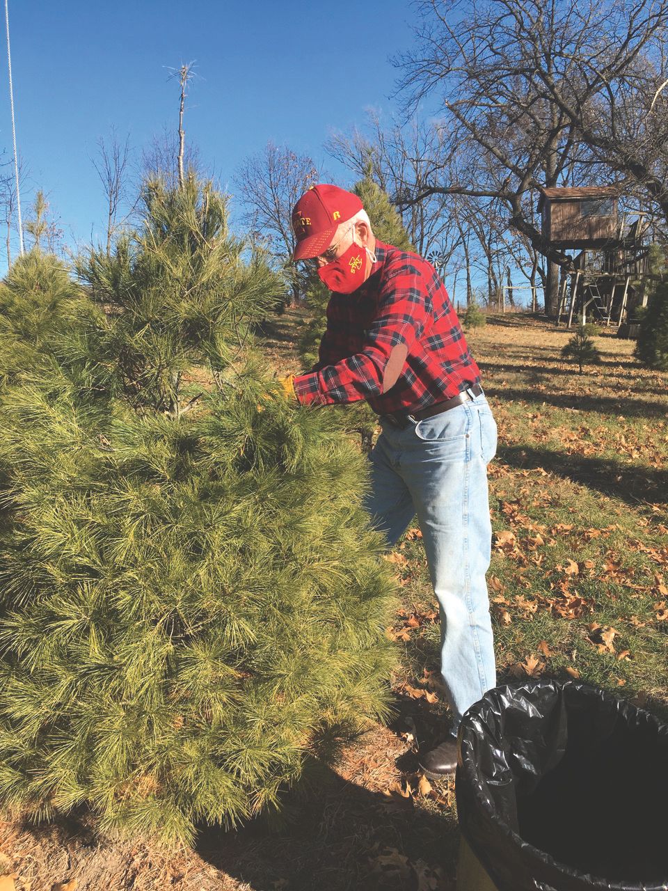 Cuttingboughs