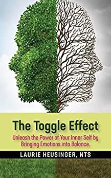 The toggle effect book