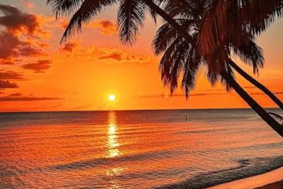 Images 9