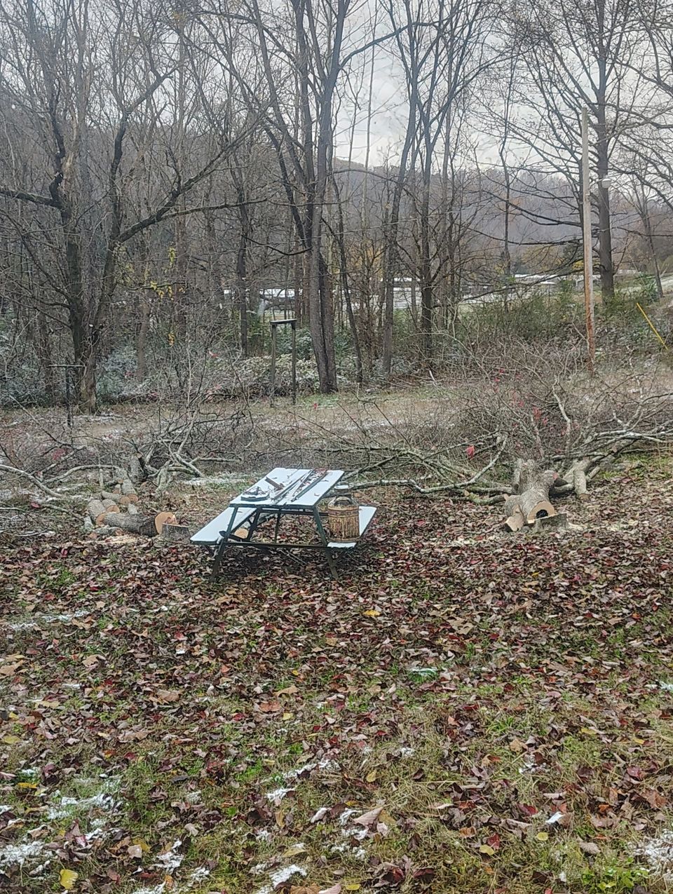 581147723 122102904399107789 5700040547495562548 n original