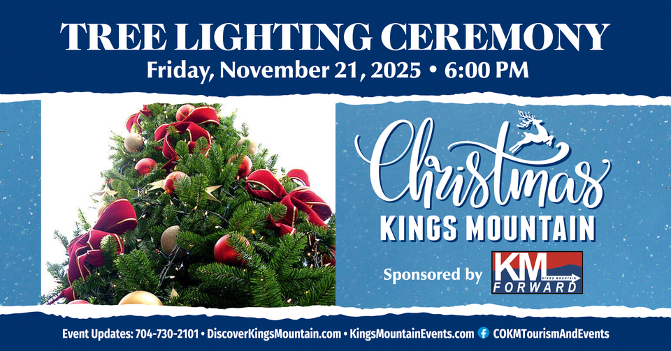 Cityofkmchistmaskm25   tree lighting