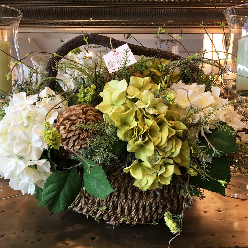 Hydrangea wb