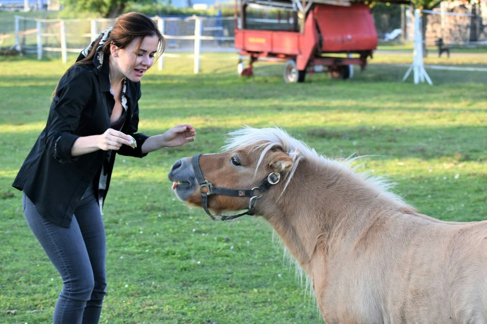 Pony Games