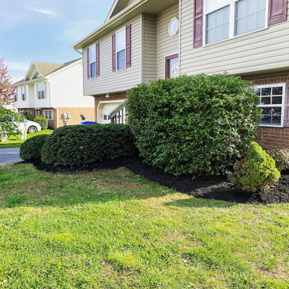 Mowing landscaping johnson city11