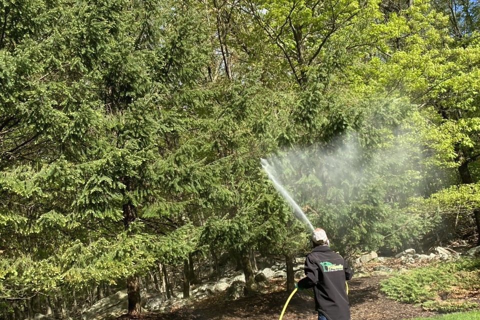 Plant health 1 (4 14 23)