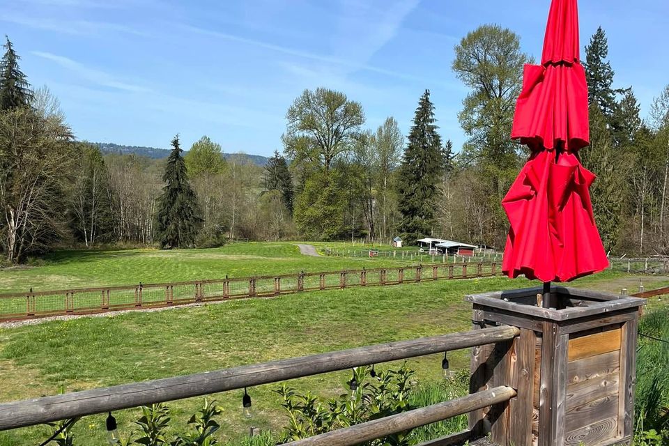 Lavenderatstillwatergiftshopoutsidesunny