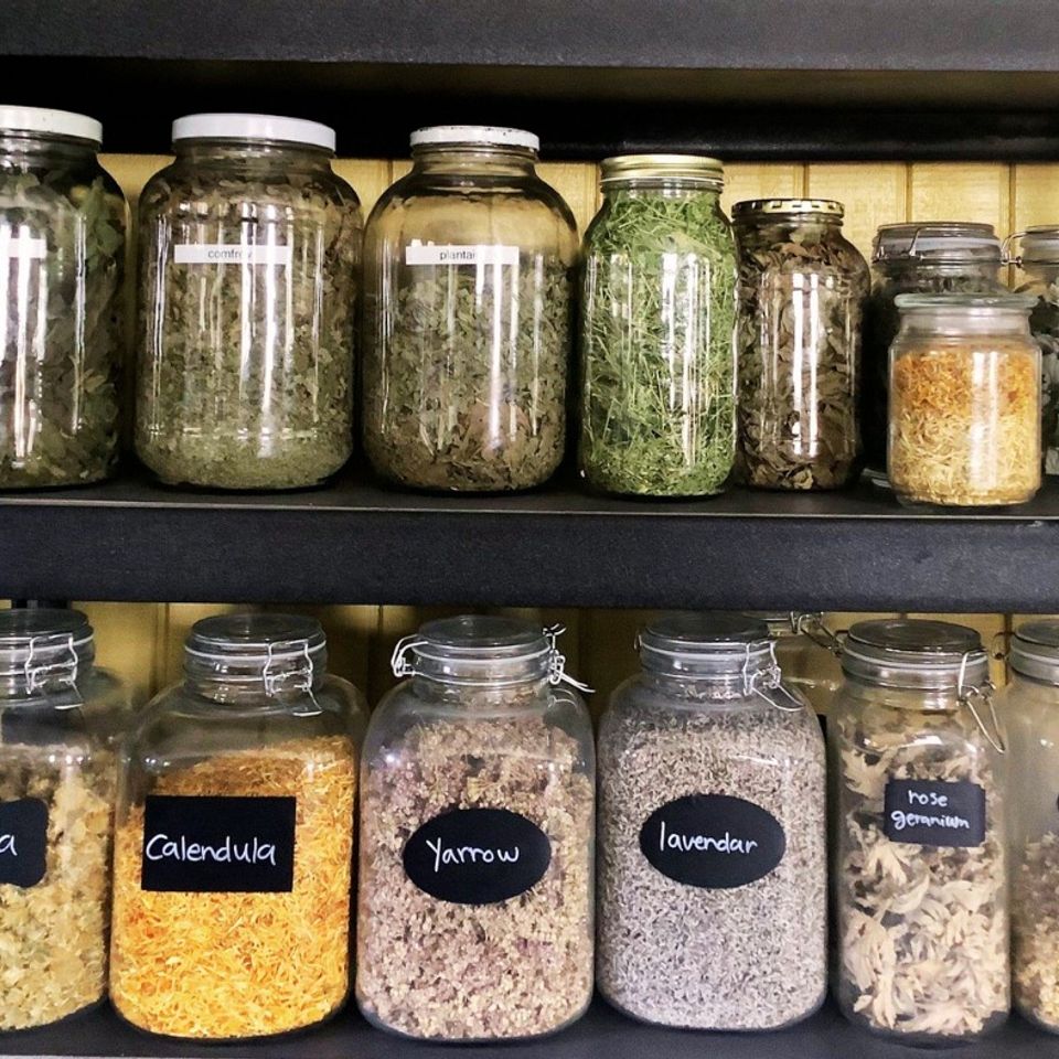 Herbs