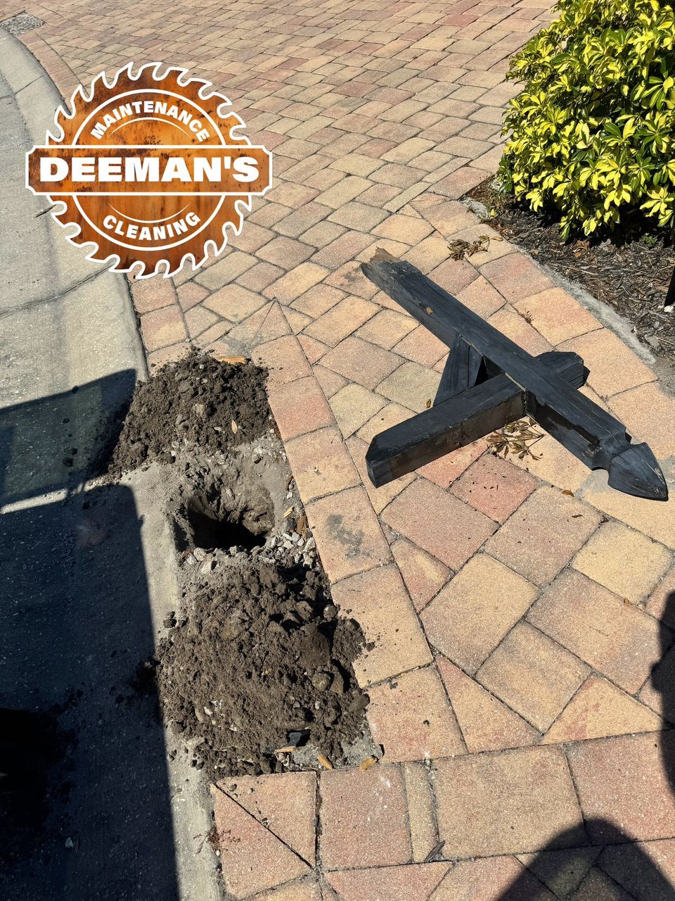 497448883 1255150299945725 1093464623430581227 n