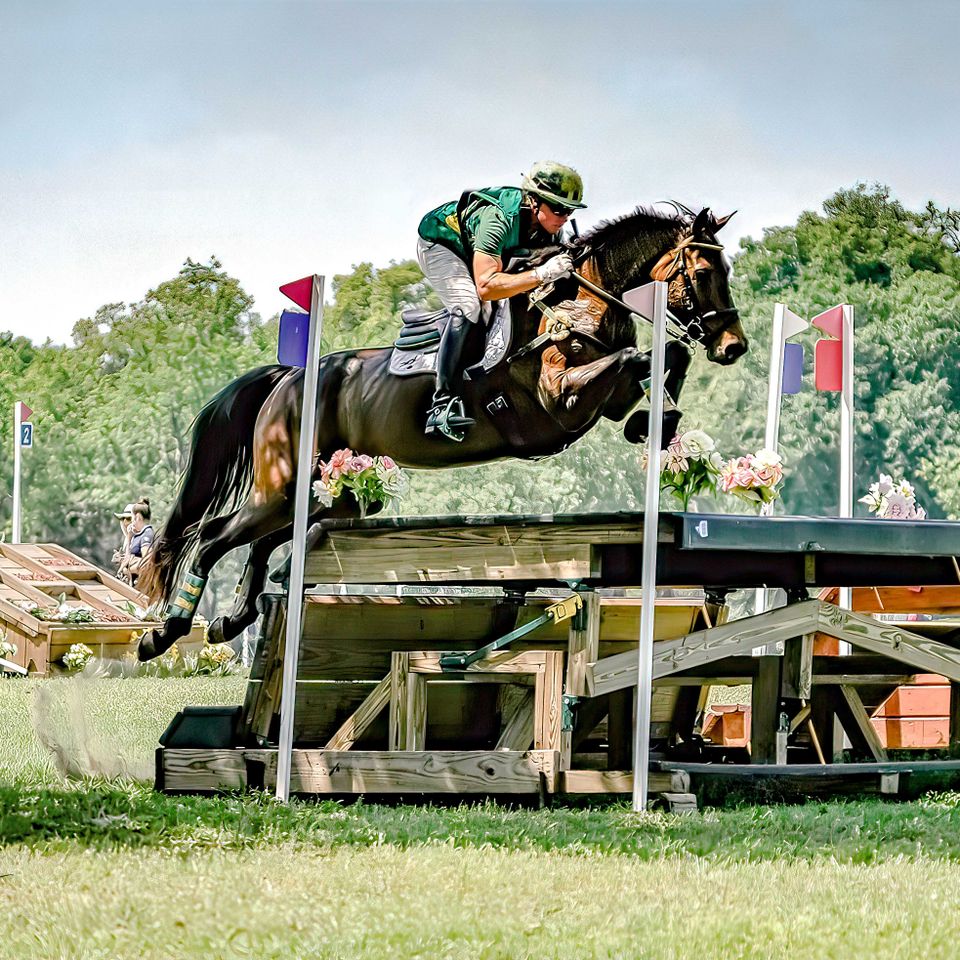 Florida horse park