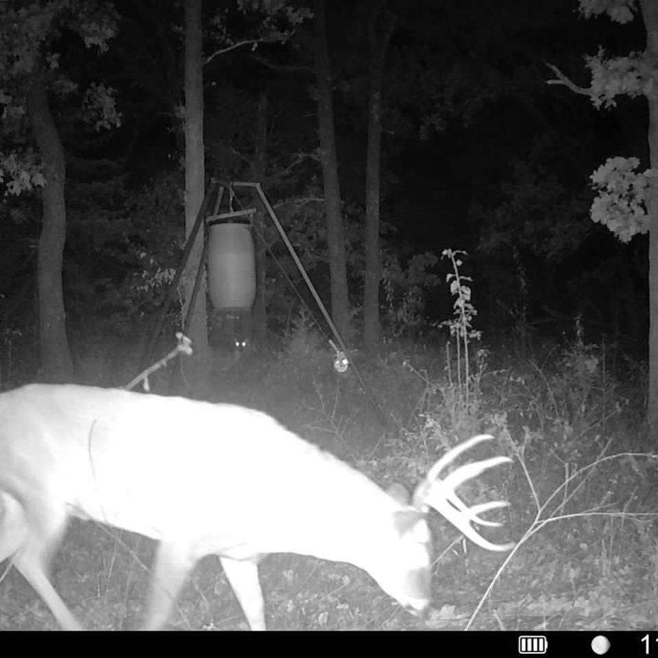 016579000796040 100 2 11042025002843 syfw01727