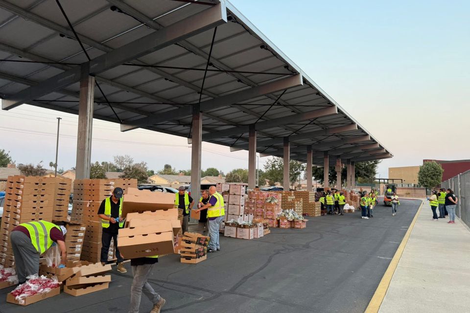 Food drive 4