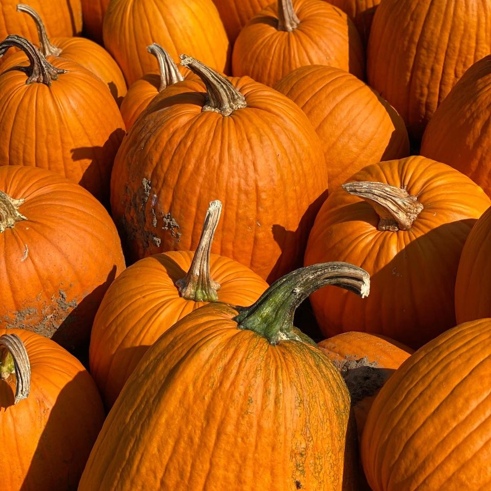 Pumpkins
