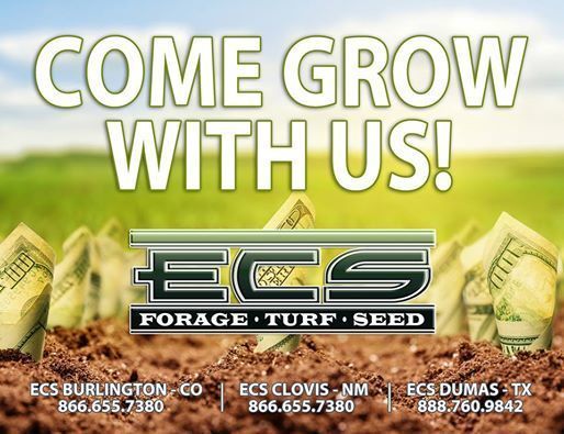 Come Grow with US at ECS - Job Opportunities flyer