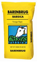 Barenbrug Barsica Forage Rape seed available at Eastern Colorado Seed