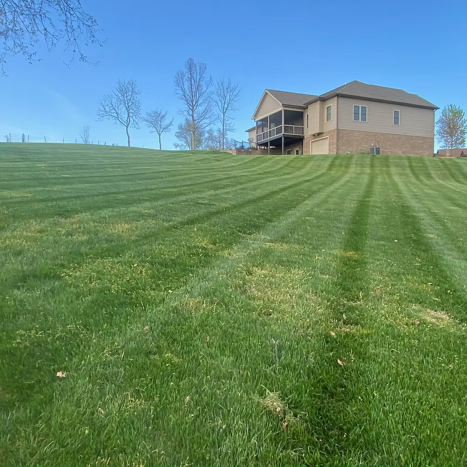 Mowing landscaping johnson city58