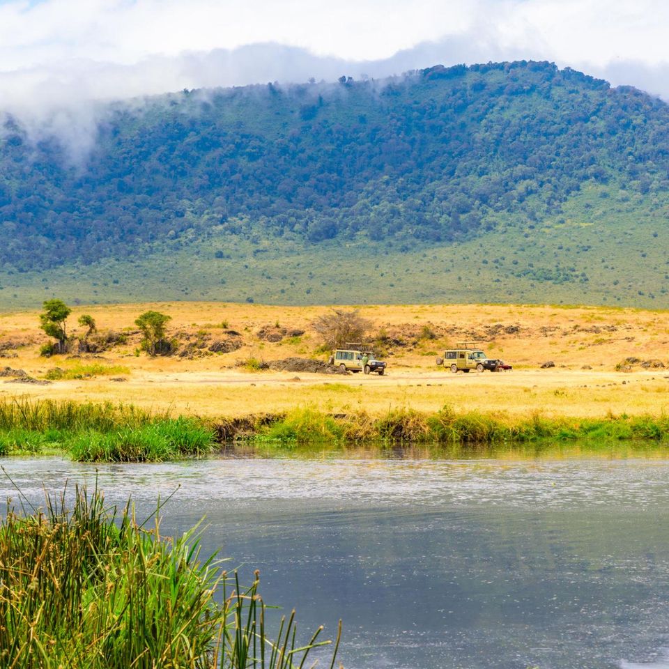 Ngorongoro crater