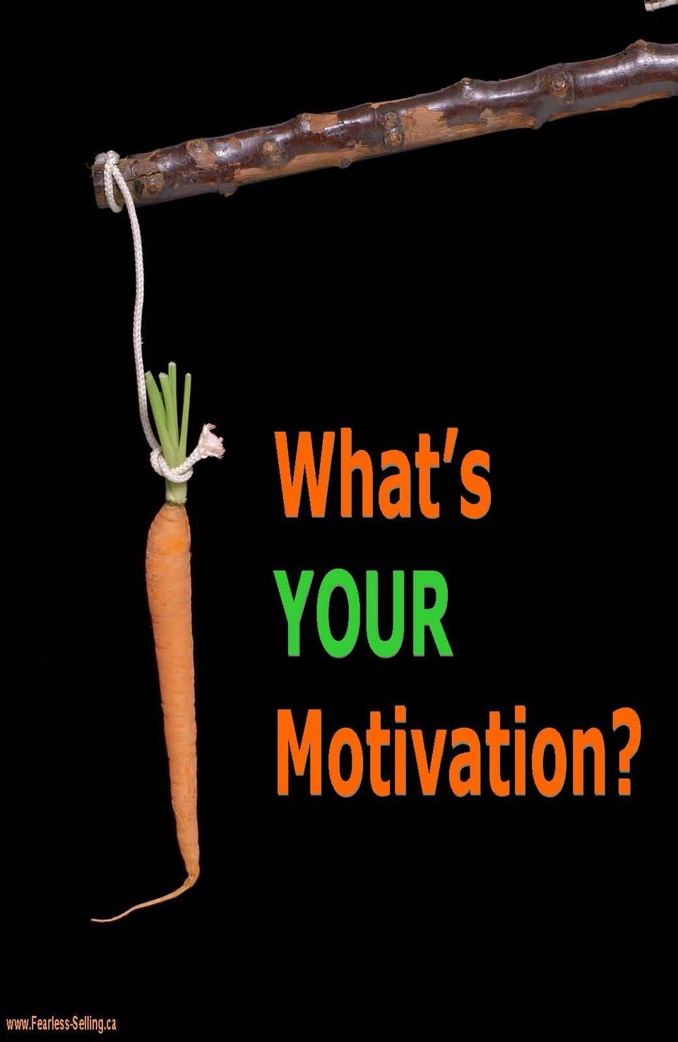 A year of motivation page 1220161212 25029 zzf19j