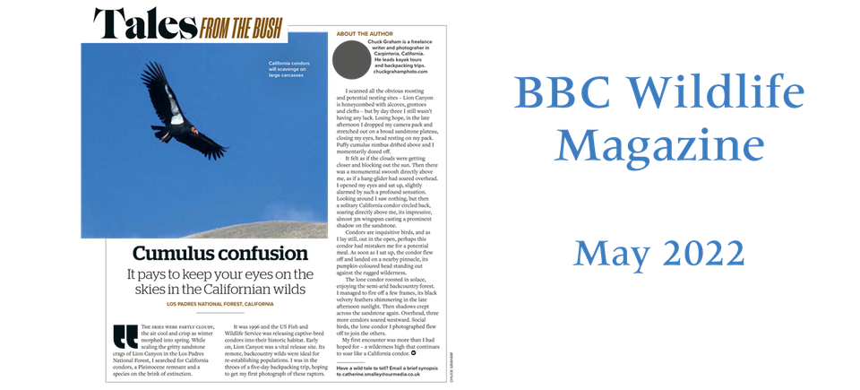 Bbc wildlife may 2022