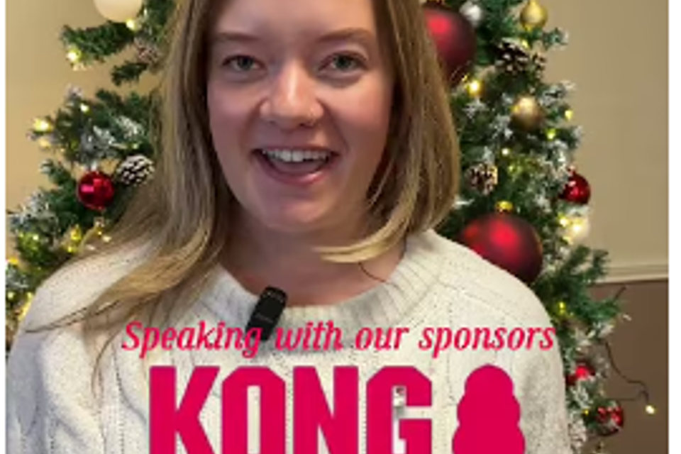 Screenshot 2026 01 20 145137