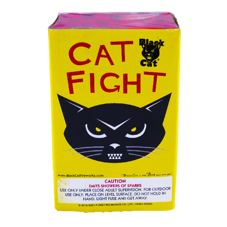 Cat fight