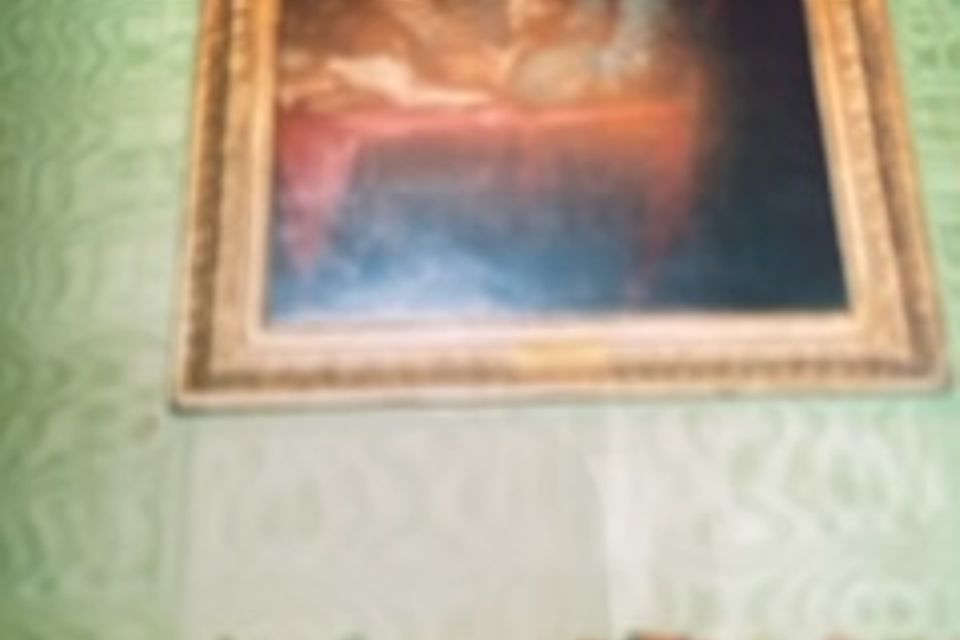 Img 0842
