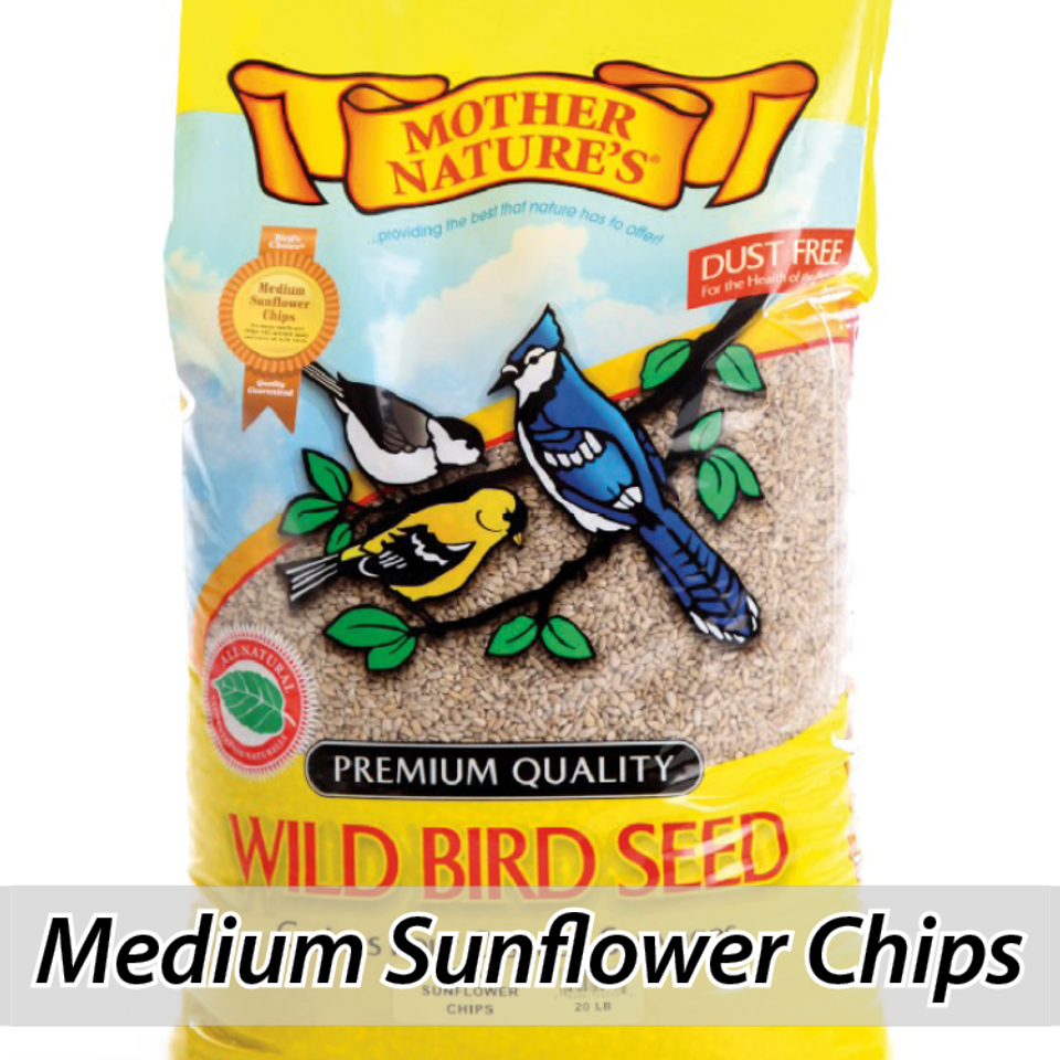Mother nature's wild bird seeds320150926 1215 1ta00z3