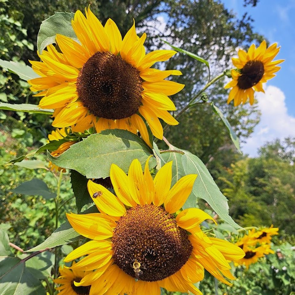 Ahvawerek mlg9b1lkbjqepuqc30deaw zan5otxba5ob7g29rjkaocsv1hybb 8 k5rctvemgdgf77zbjcwxif3qufl16boo3ufpmwthsnexiwpjvohp  eu7hresxto4cgwklxh4hmriqkkbru s1016 k no