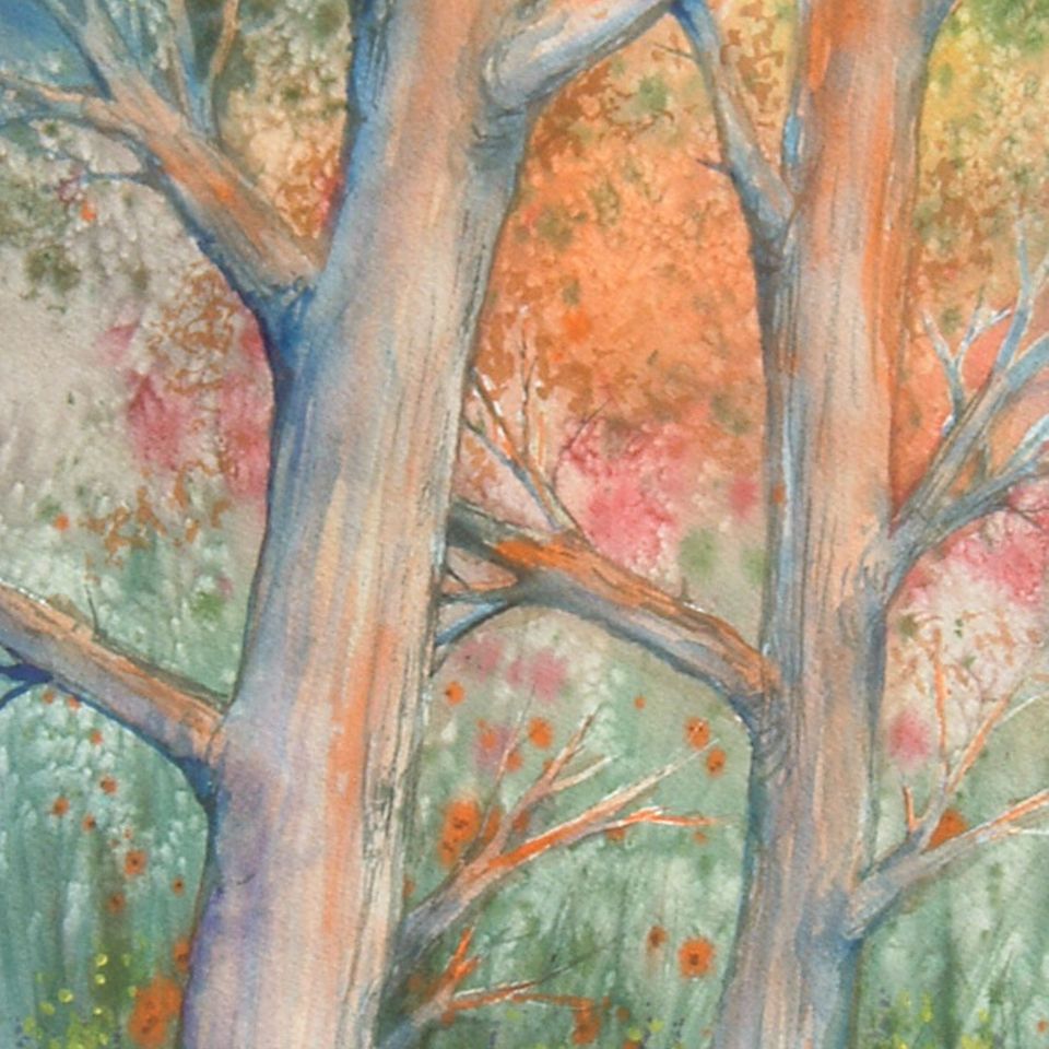 Sunset in the woods lg