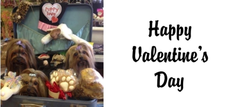 Celebrations   valentine20150621 16882 1d021dm