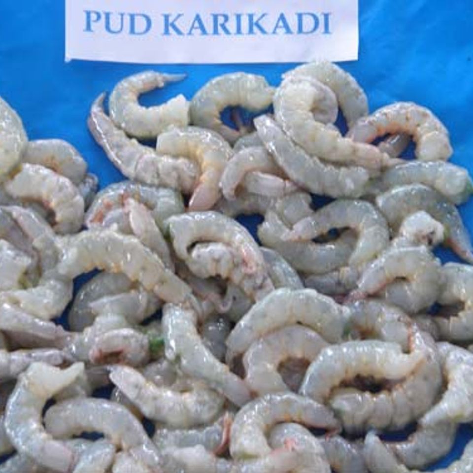 Pud kir