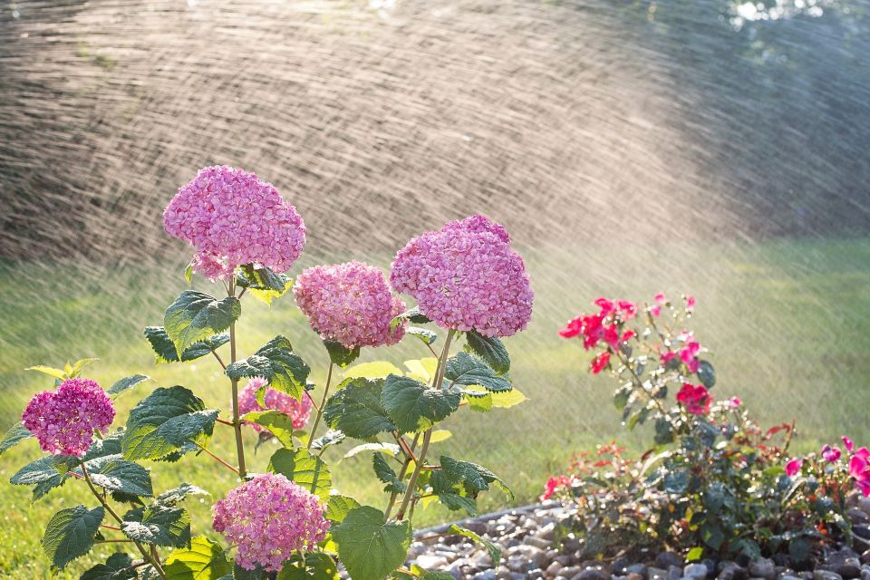 Lawn Equipment Rental & Irrigation Supplier in Nampa Idaho