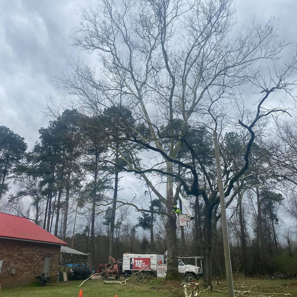 164880507 729197351077078 2149999486467138788 n